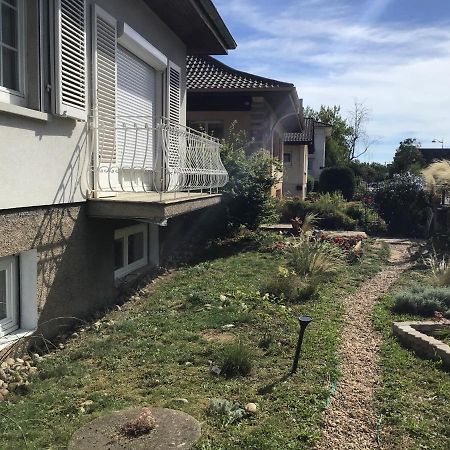 Appartamento Chez Flo Mittelhausbergen Esterno foto