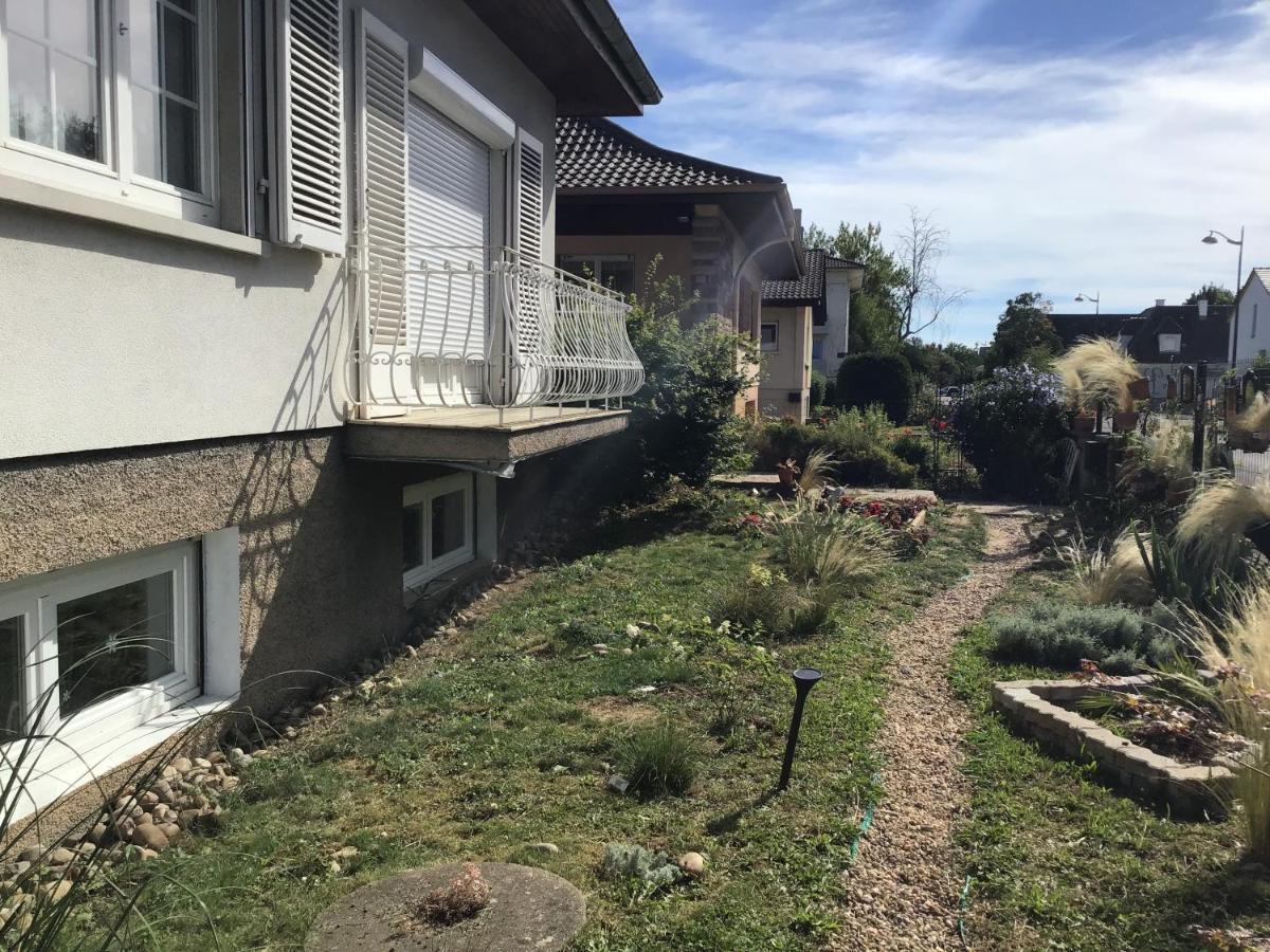 Appartamento Chez Flo Mittelhausbergen Esterno foto