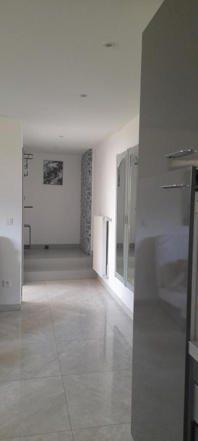 Appartamento Chez Flo Mittelhausbergen Esterno foto
